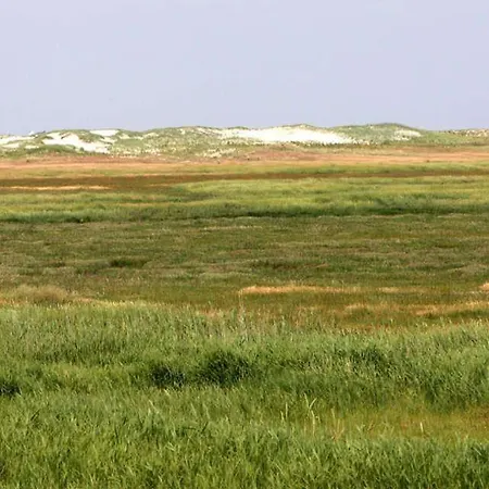 Ferienwohnung-soltau-1-og-rechts * Sankt Peter-Ording